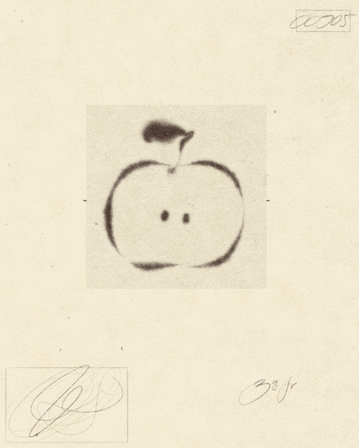 00905 - iris wildros