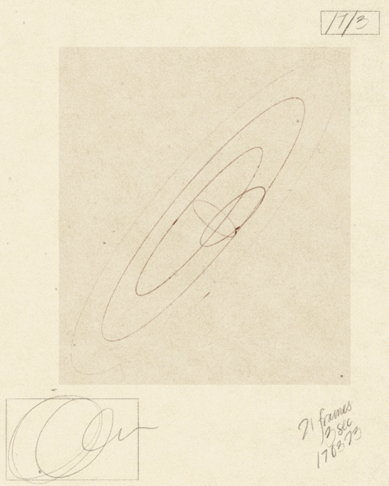 Iris Wildros Animation 170323