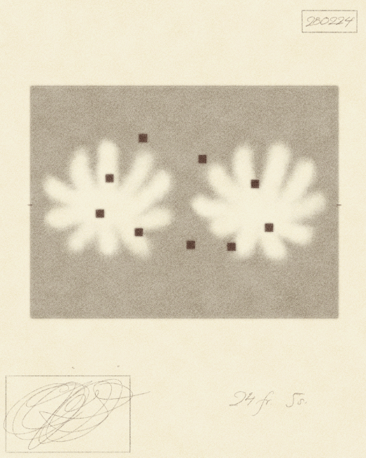 looping abstract animation