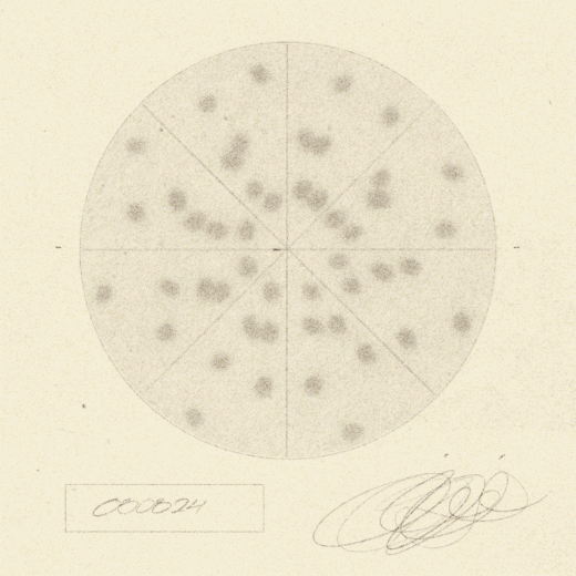 phenakistoscope animation