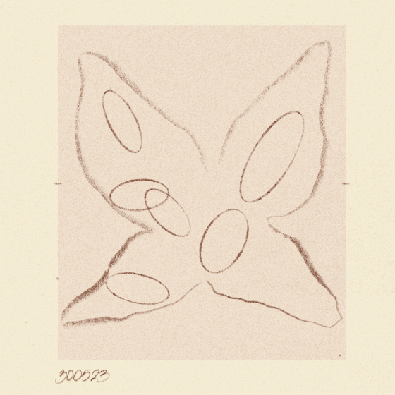 Iris Wildros Animation