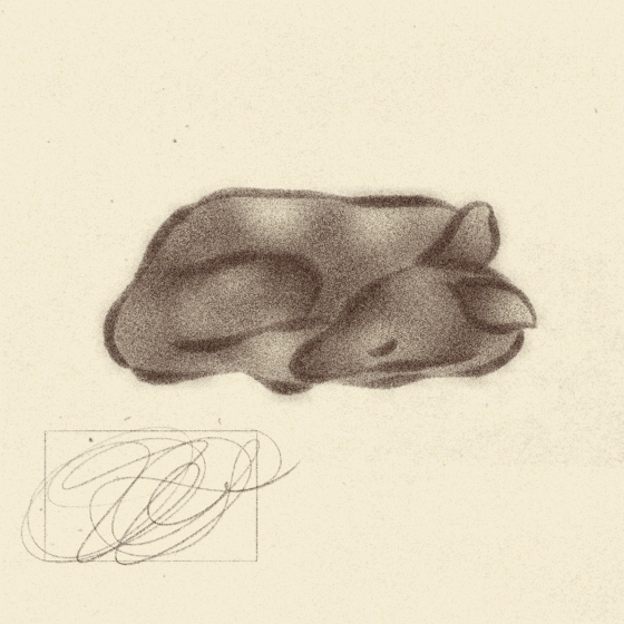 iris wildros sleeping animation