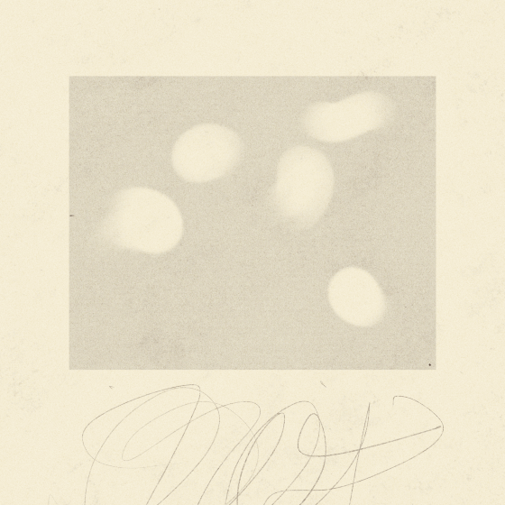 iris wildros abstract animation