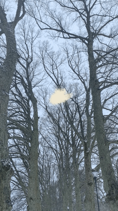 iris wildros winter animation