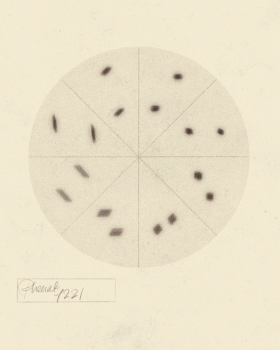 iris wildros phenakistoscope animation