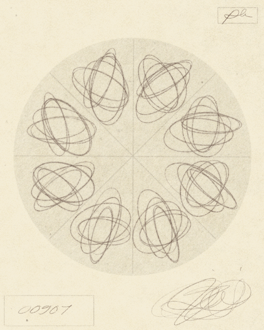phenakistoscope - iris wildros