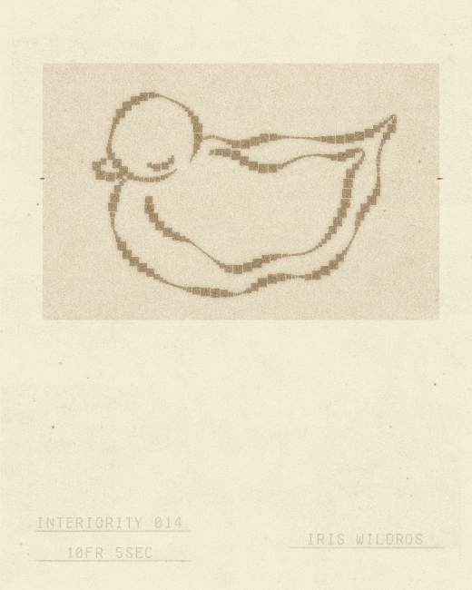 iris wildros blinking duck animation