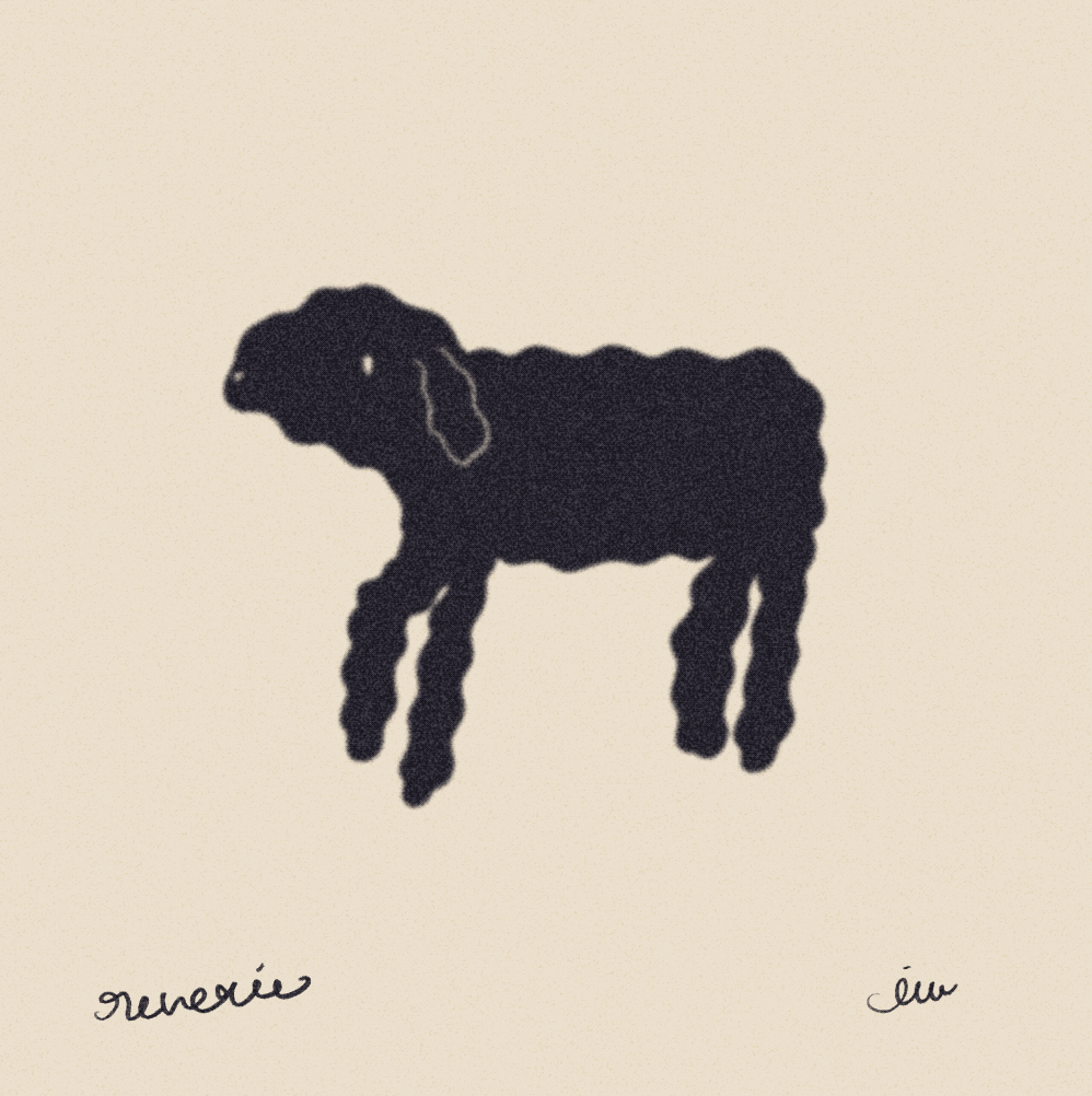 iris wildros animation