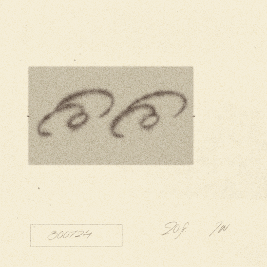 300724 - iris wildros 