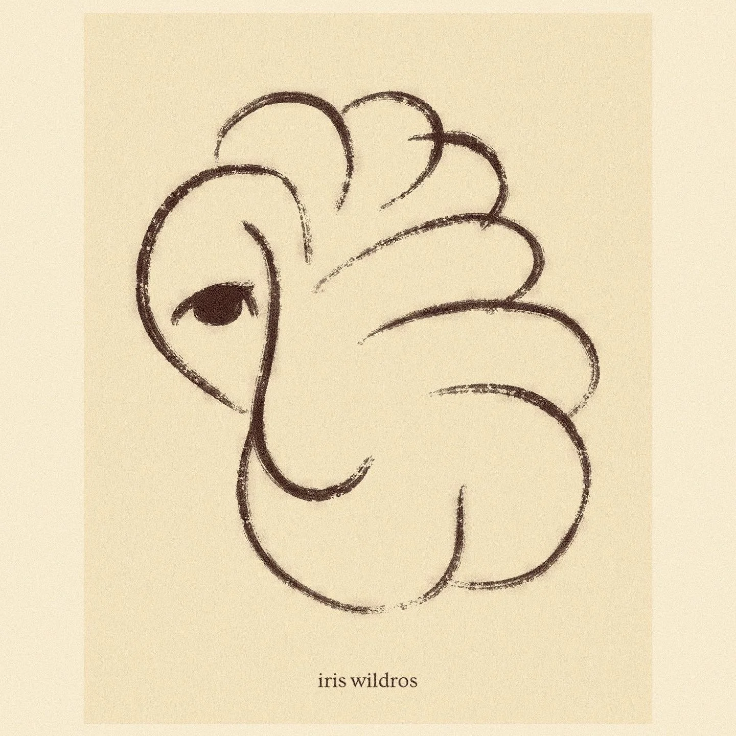 iris wildros illustration