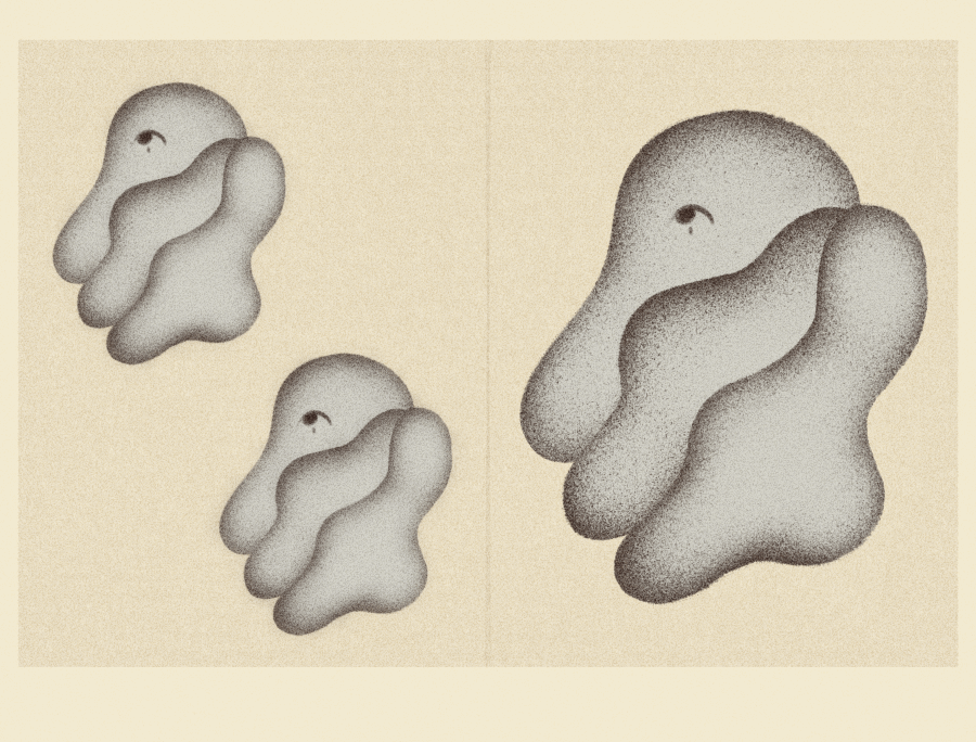 iris wildros animation