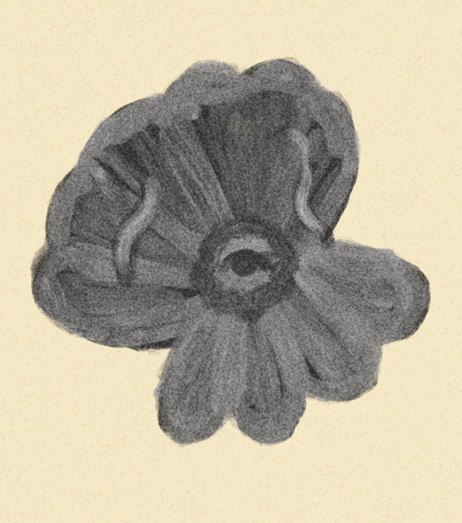 iris wildros animation