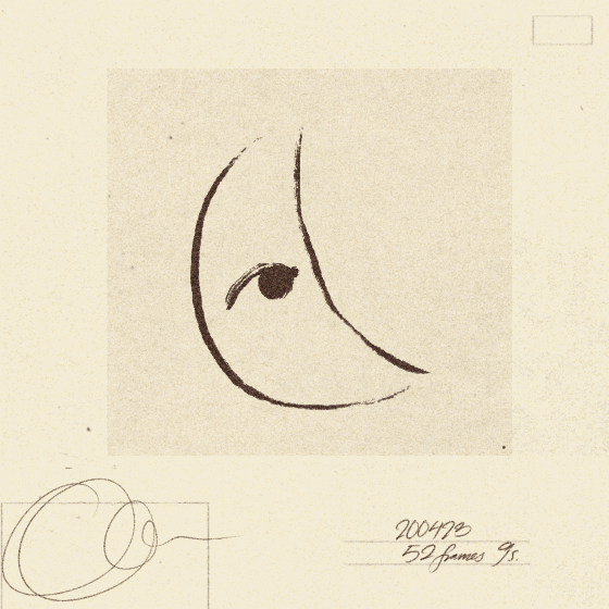 Iris Wildros Animation