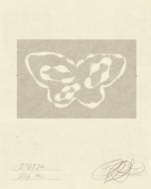 butterfly visualizer