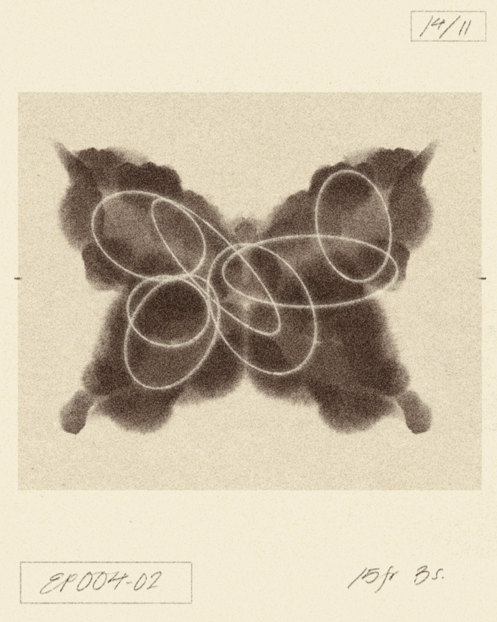 butterfly visualizer