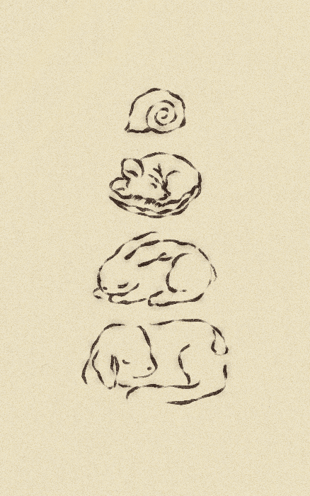 iris wildros sleeping lamb rabbit mouse snail illustration