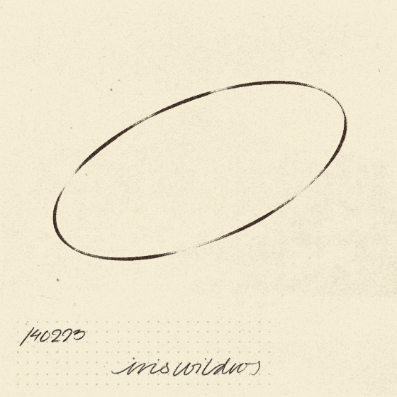 iris wildros loop animation