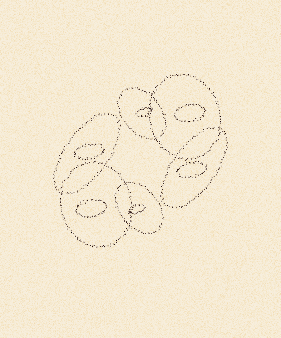 iris wildros animation