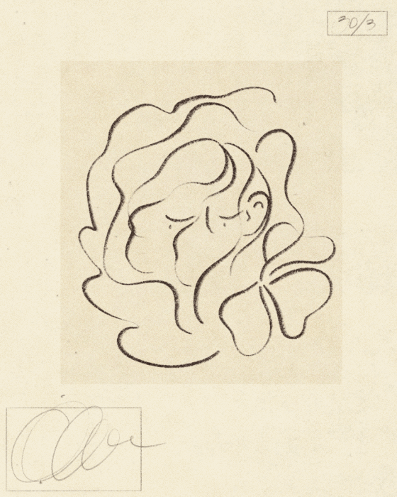 Iris Wildros Animation