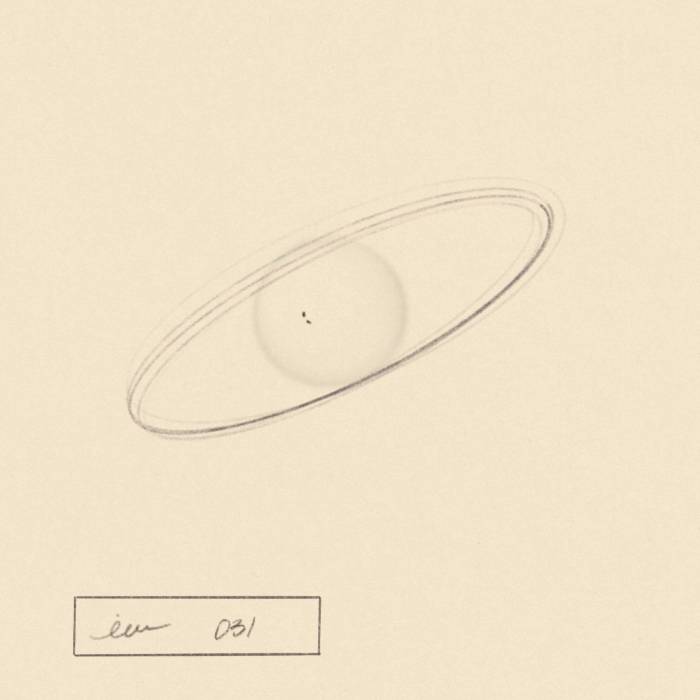 iris wildros animation