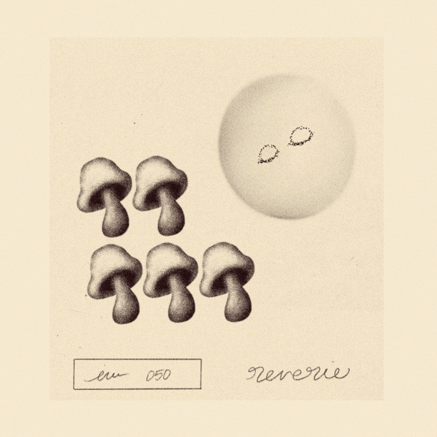 iris wildros animation