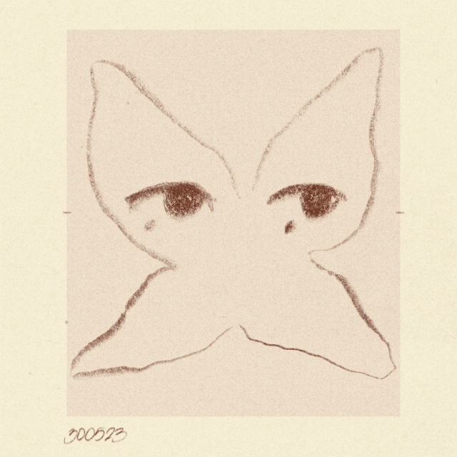 iris wildros butterfly animation 300523