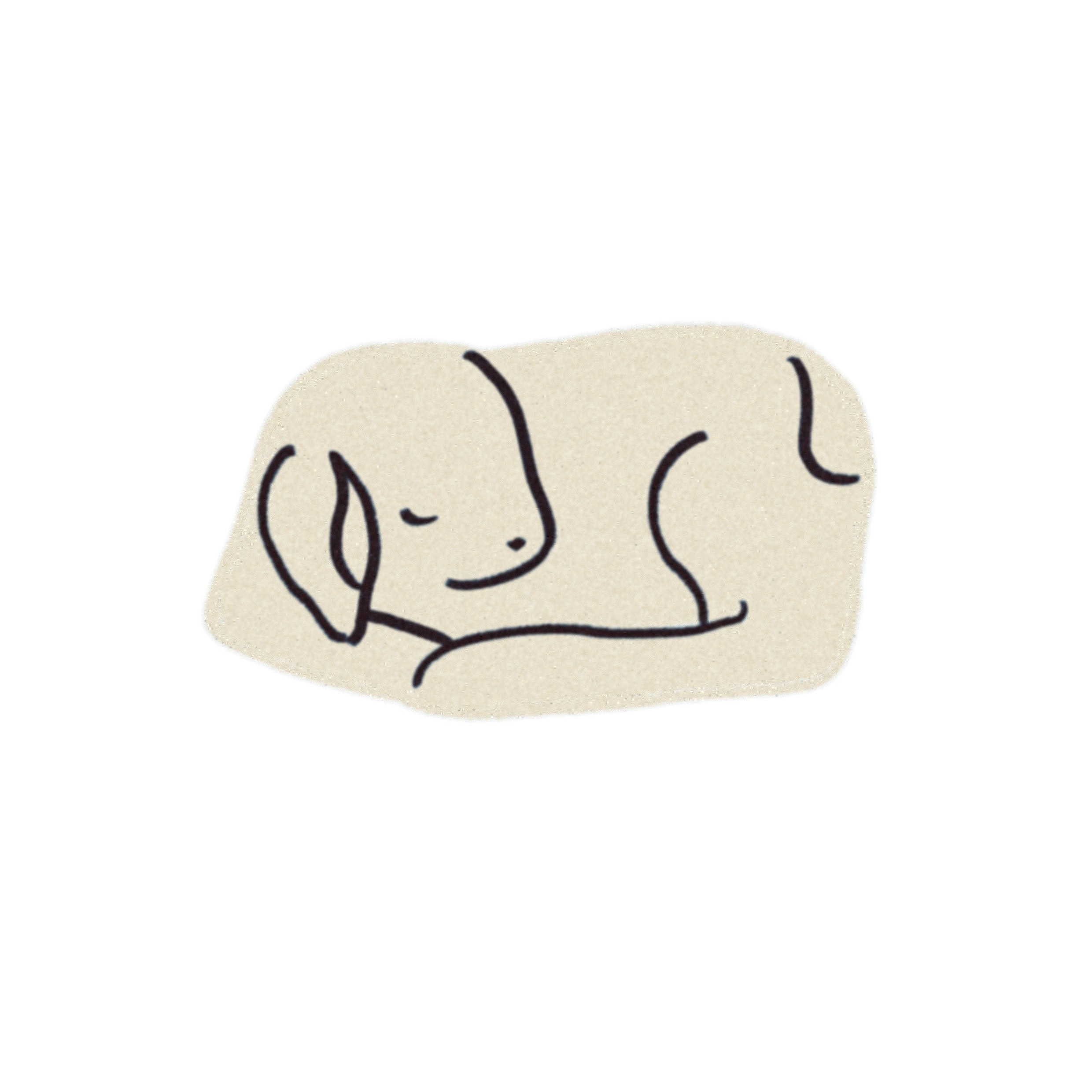 iris wildros illustration