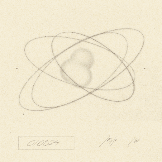 00804 - iris wildros