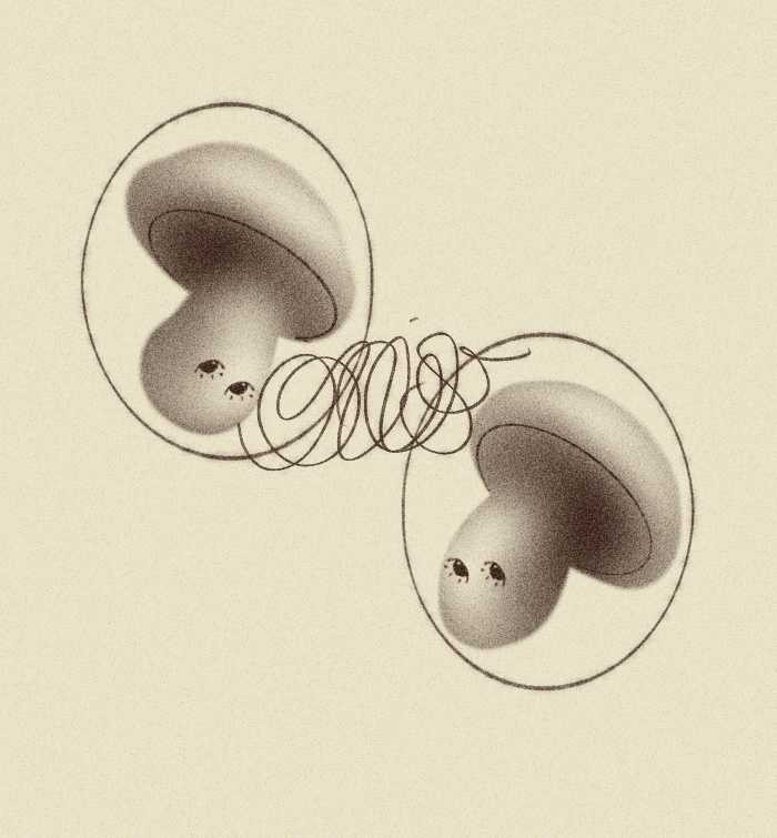 iris wildros animation