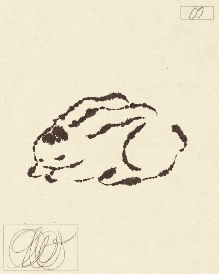 Iris Wildros Rabbit Swan Animation