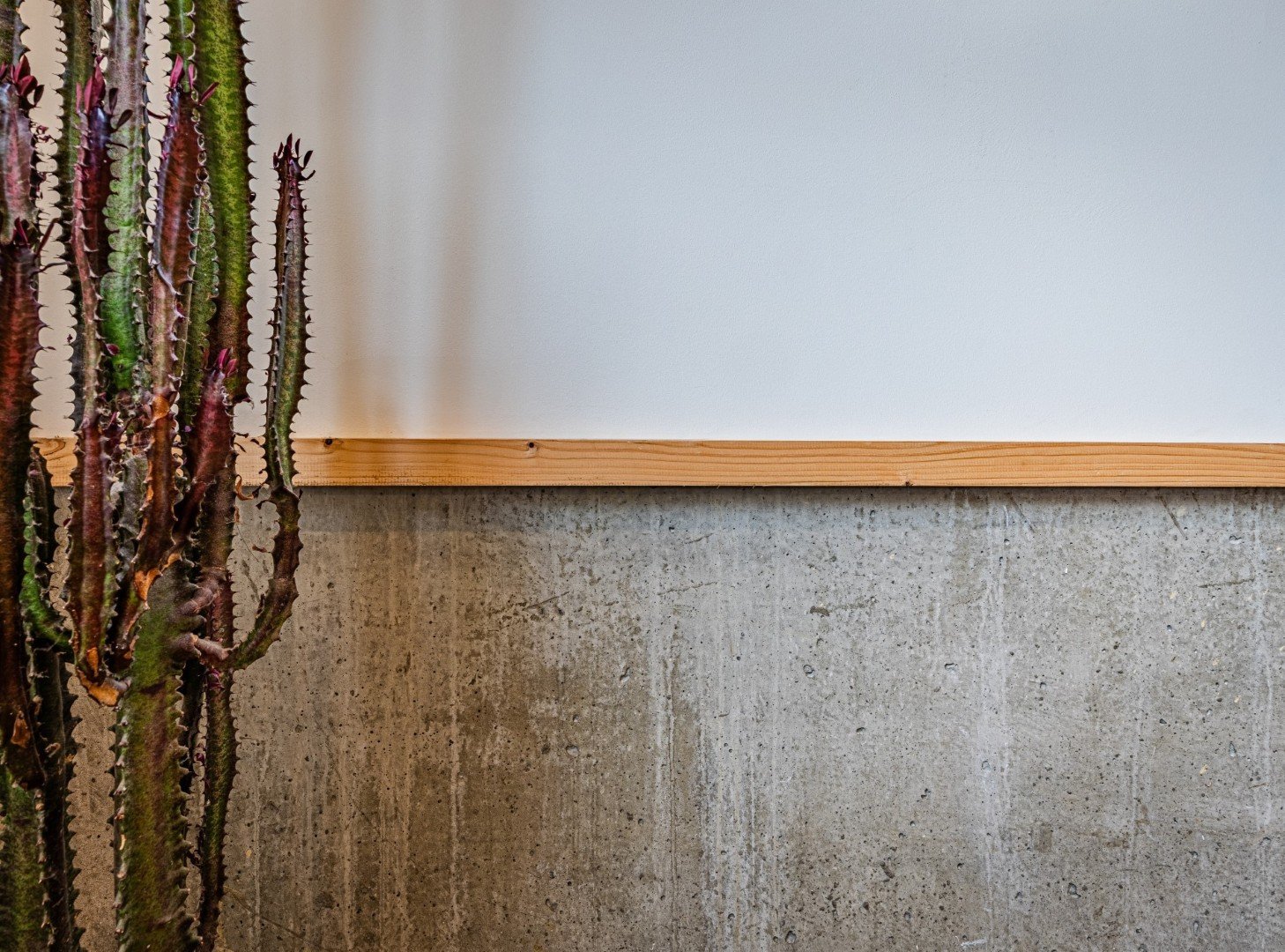 construction-neuve-ossature-bois-atelier-granville-2.jpg