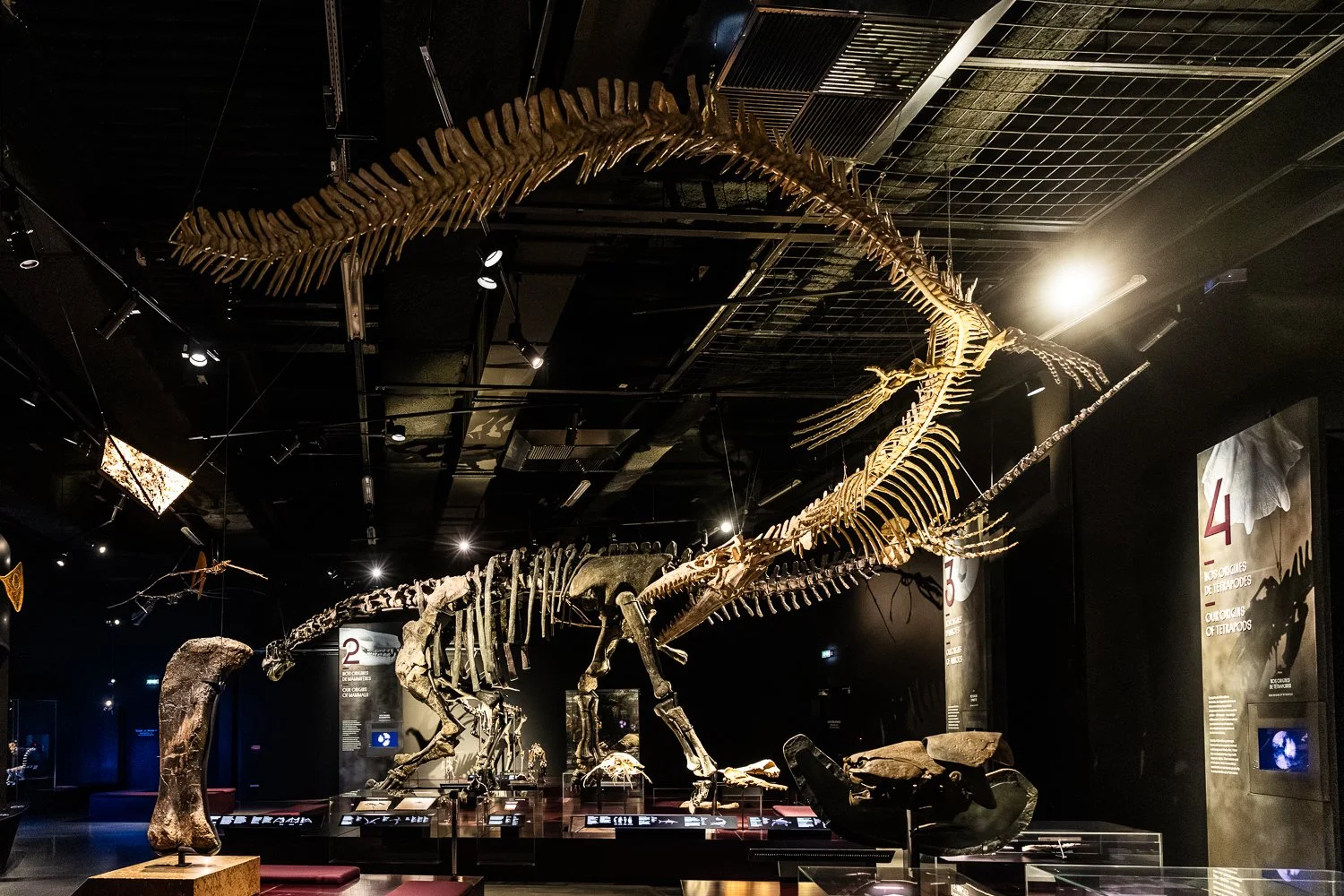 _20260311-nathaliesavale-redvistor-indeed-lyon-bd-120.jpg