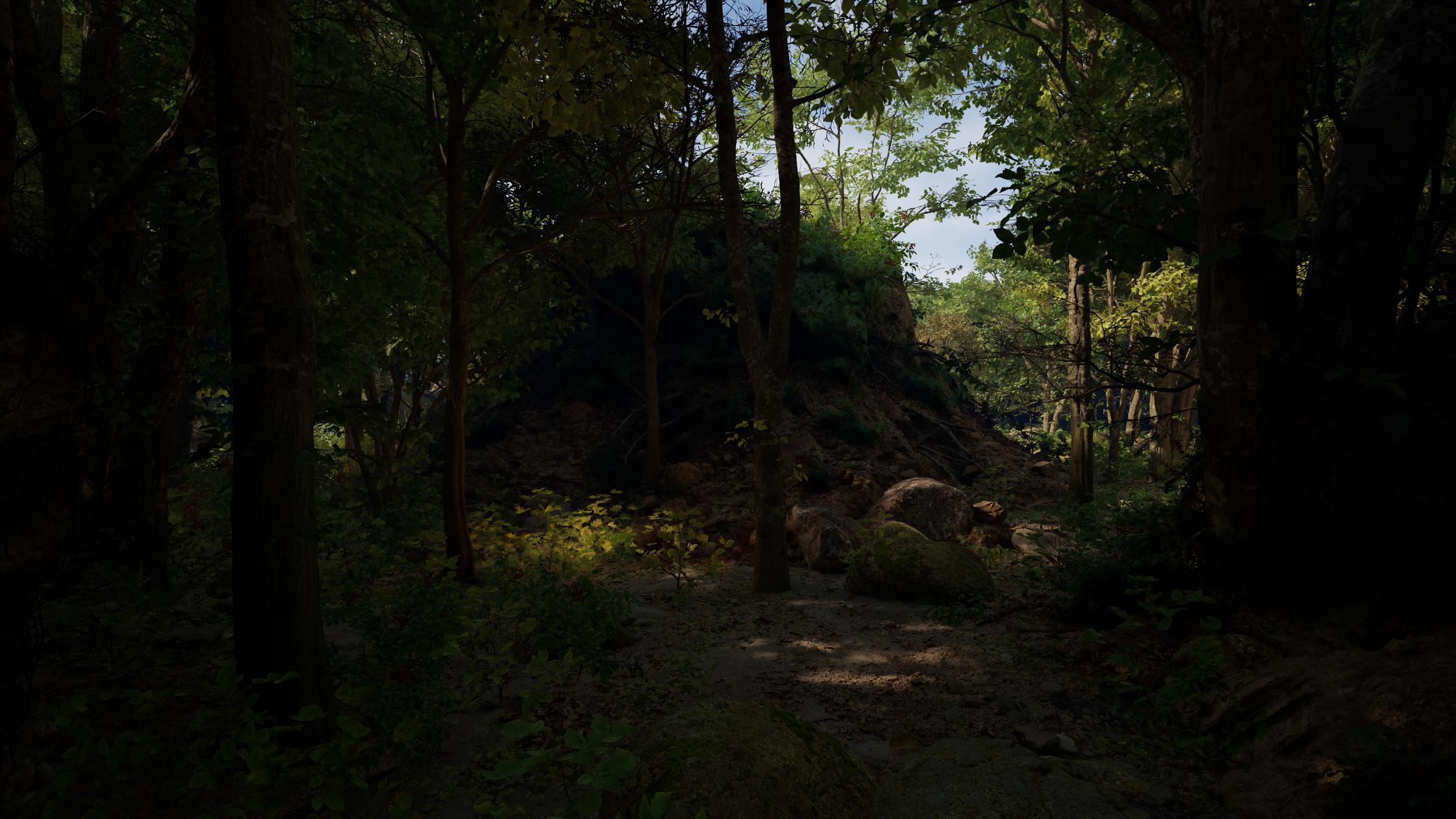 Screenshot taken of a jungle and forest environment created using Unreal Engine 5.