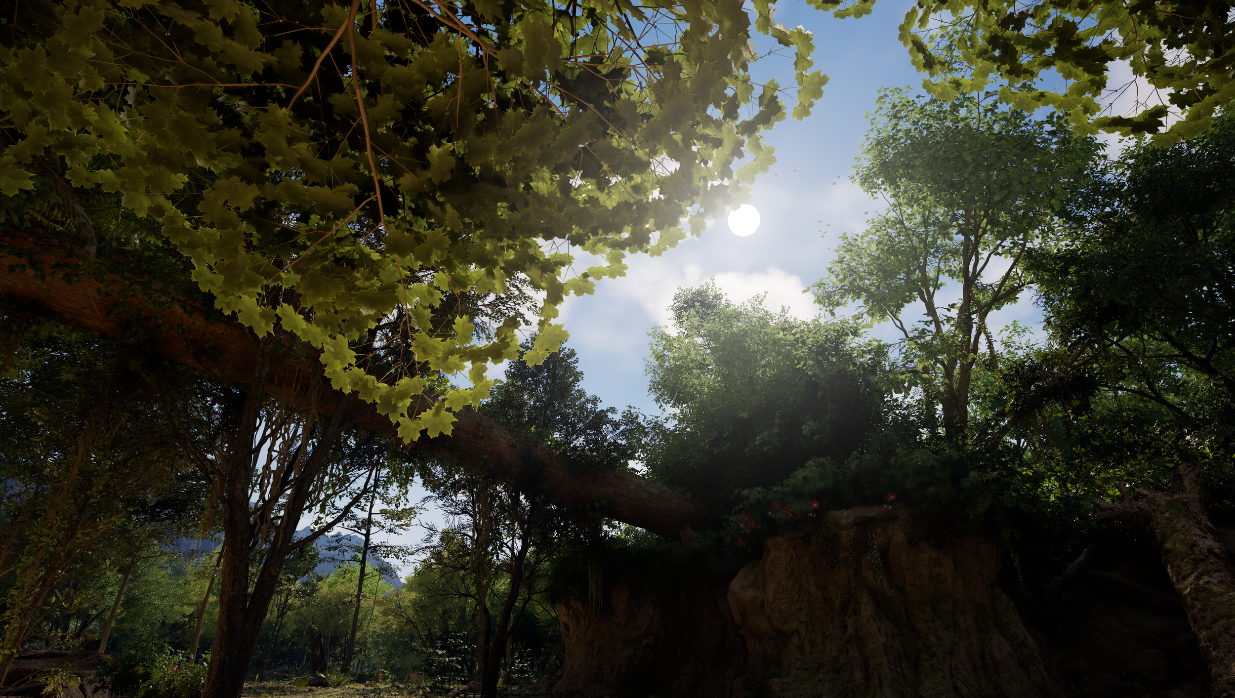 Screenshot taken of a maple forest created using Unreal Engine 5.