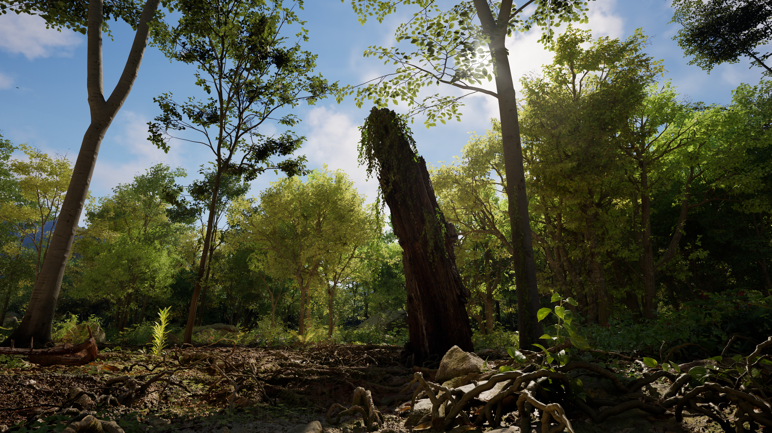 Screenshot taken of a jungle and forest environment created using Unreal Engine 5.