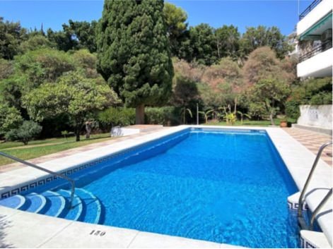 Swimming Pool 3.jpg