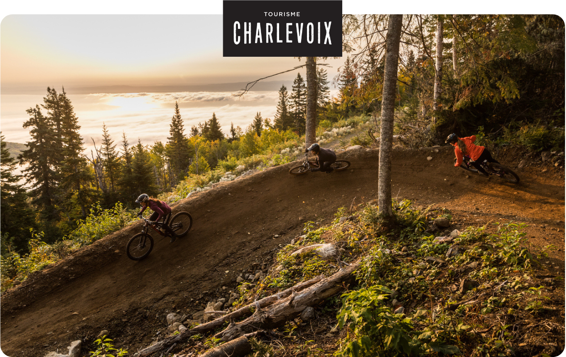 Header infolettre membres 2024.png