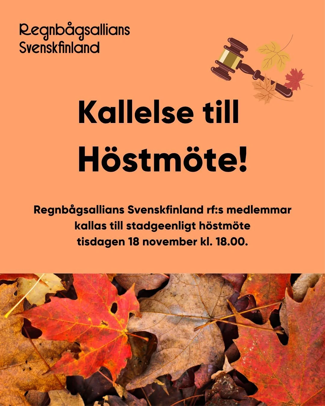 Kallelse till Höstmöte!🍁
Regnbågsallians Svenskfinland rf:s medlemmar kallas till stadgeenligt höstmöte
tisdagen 18 november kl. 18.00.
Under höstmötet väljs styrelseledamöter och ordförande f&oum