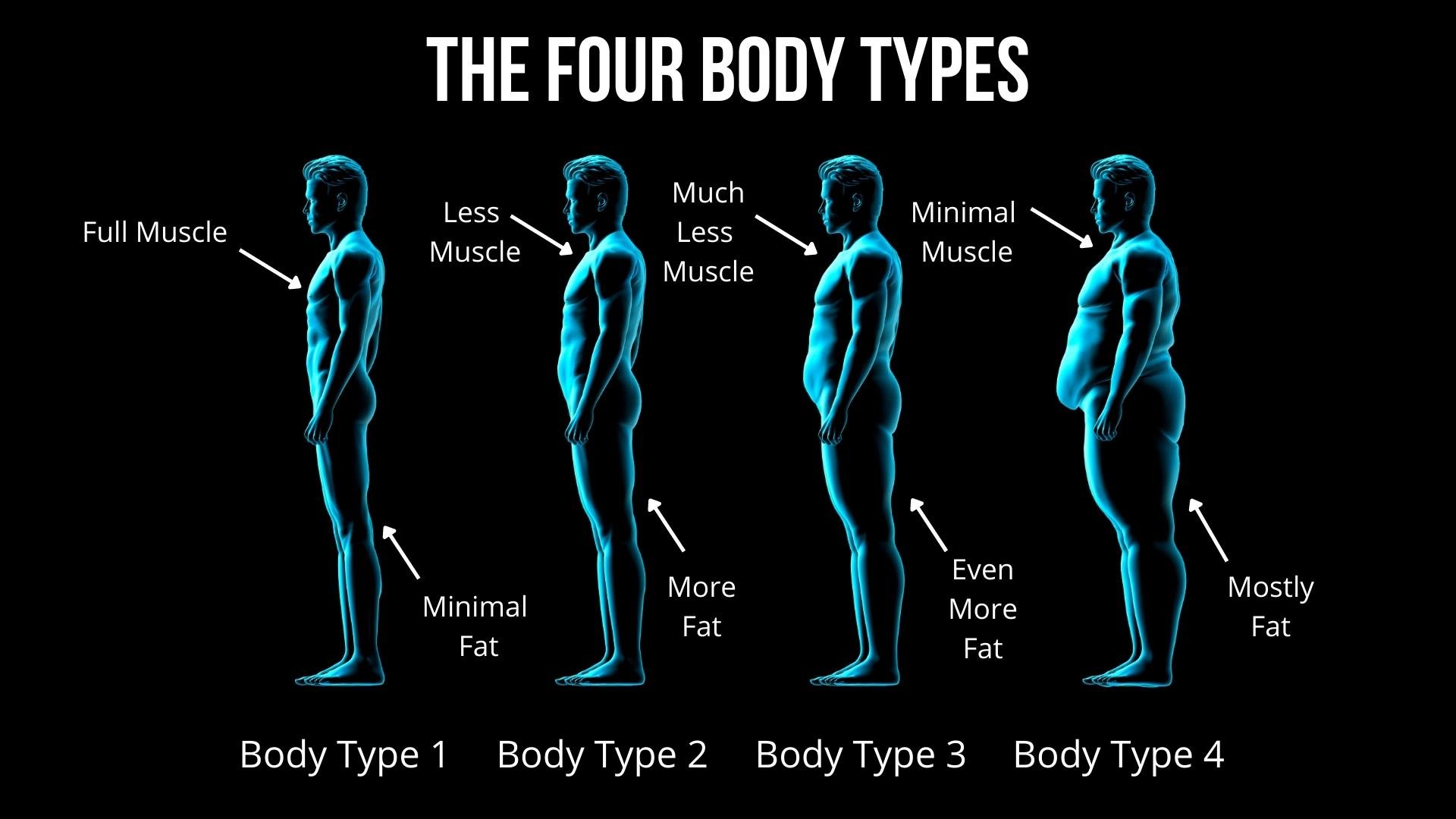 4 Body Types Quiz Based On Science — Nutrition + Fitness Coaching