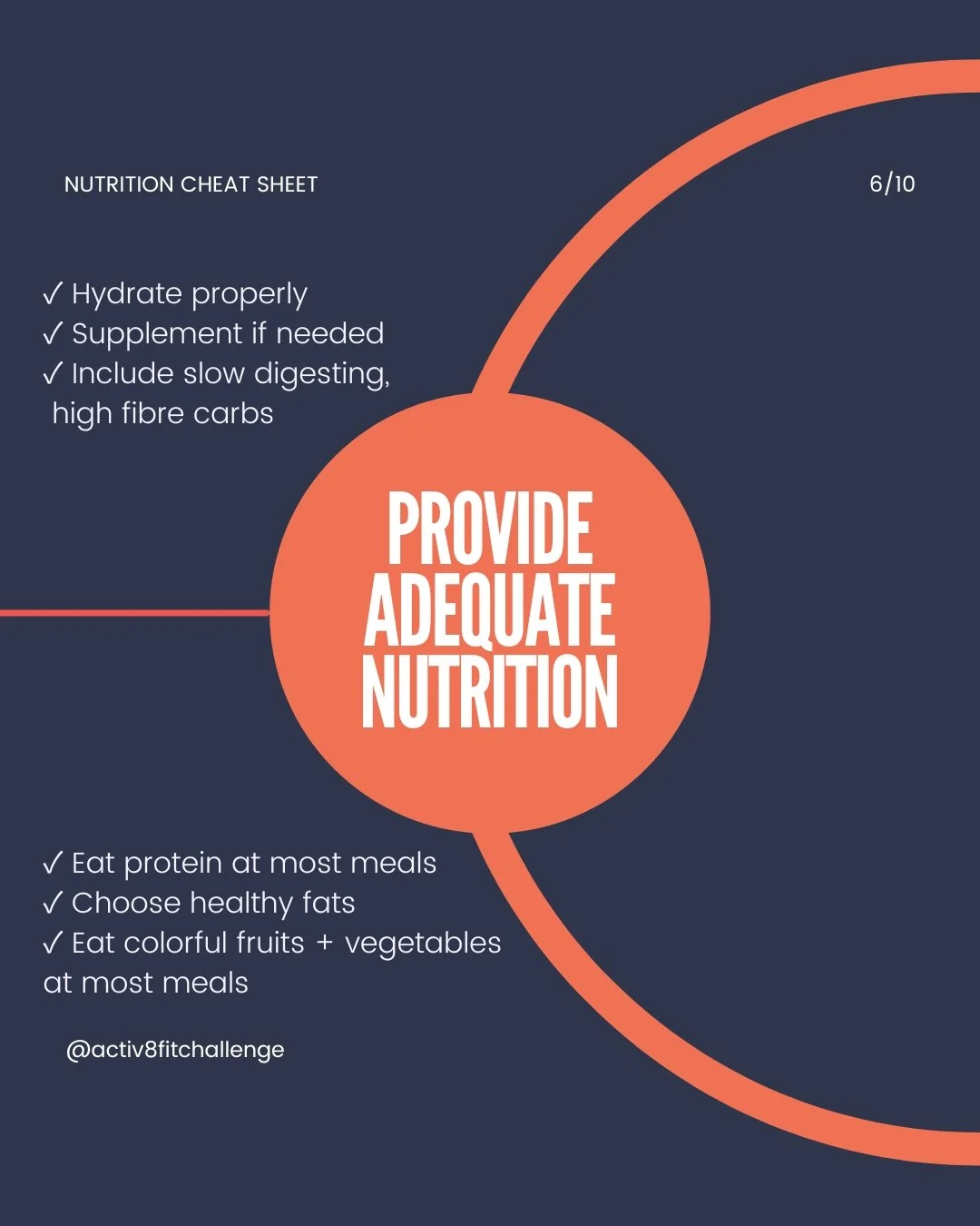 High Impact Nutrition Fundamentals — Nutrition + Fitness Coaching