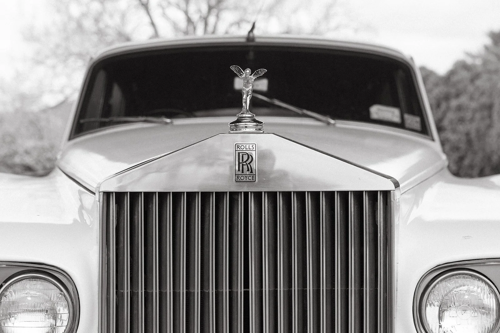 LoganElizabethPhotography-1-2_websize.jpg