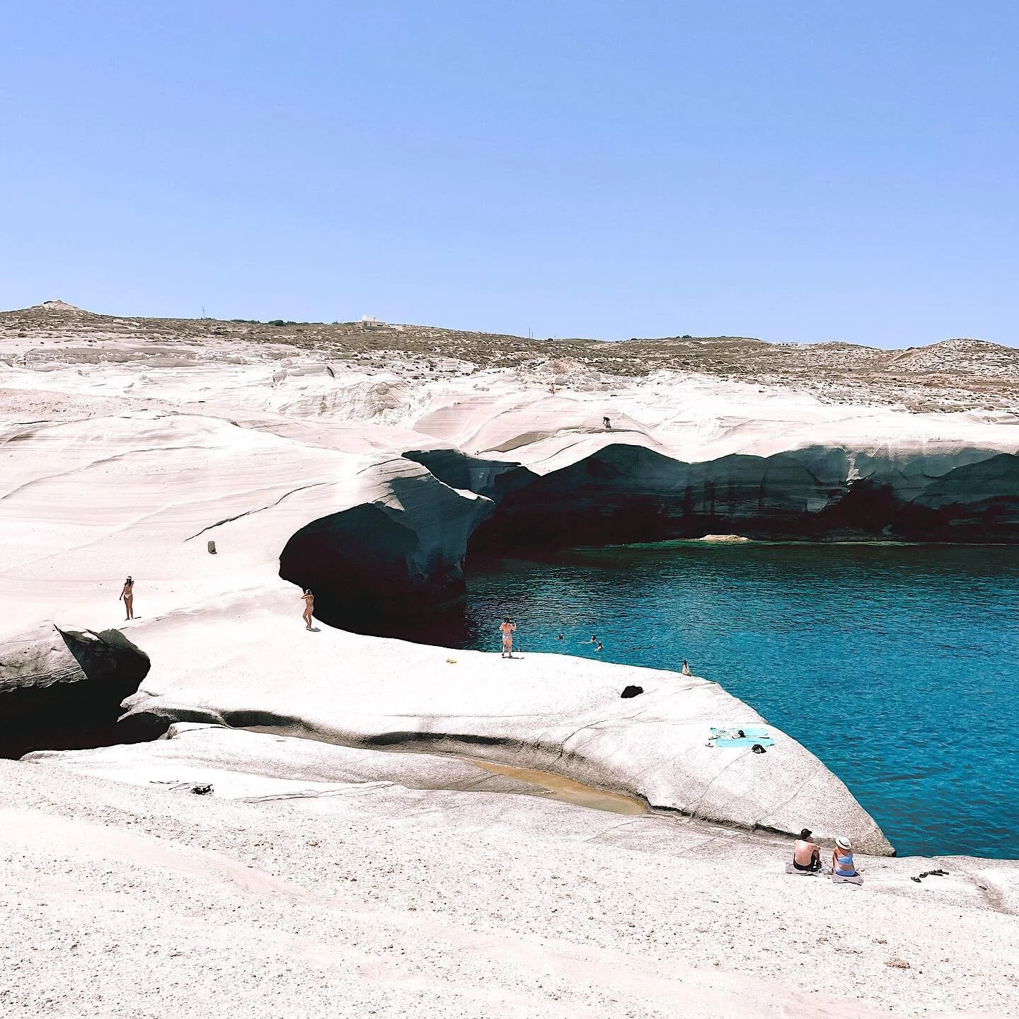 Film from last summer🥥