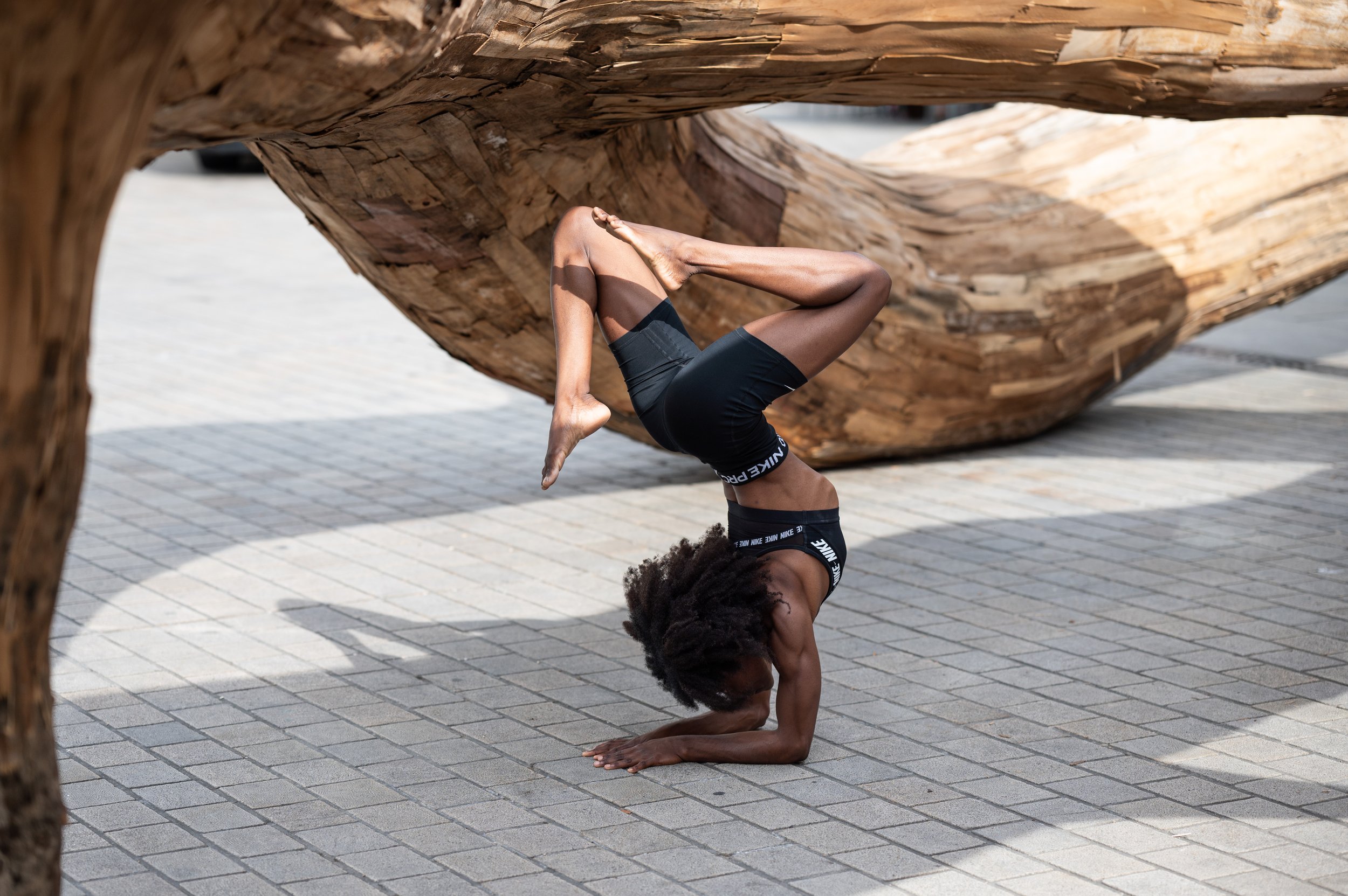 Atelier Inversions #2 : Explorer les inversions