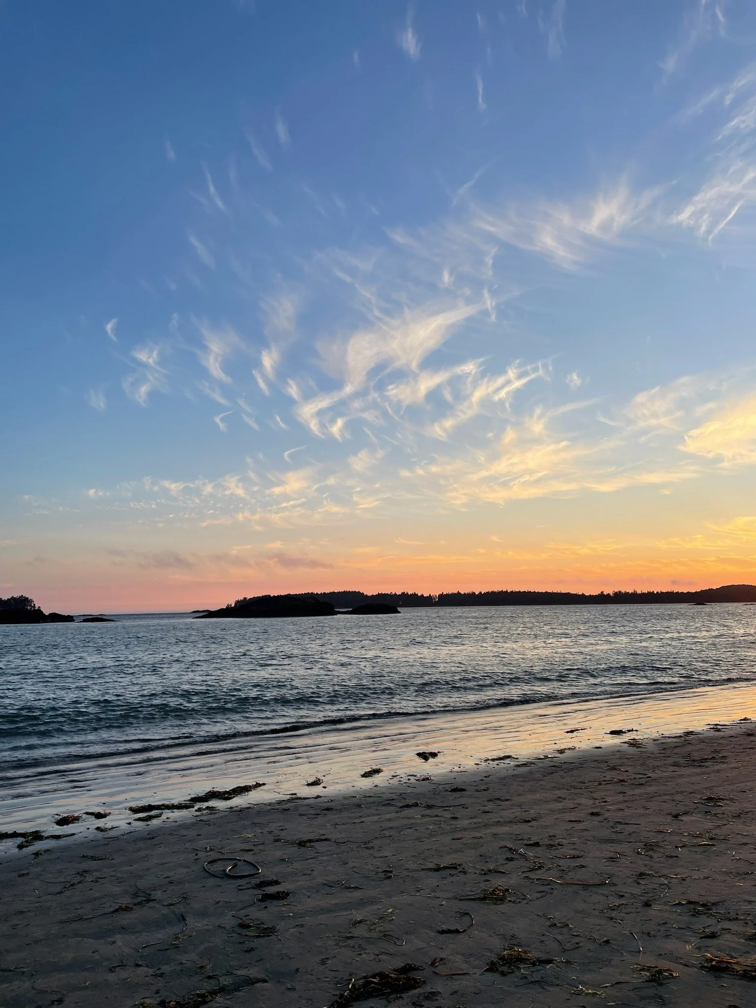 How Much Influence Does the President Have on the Stock Market?