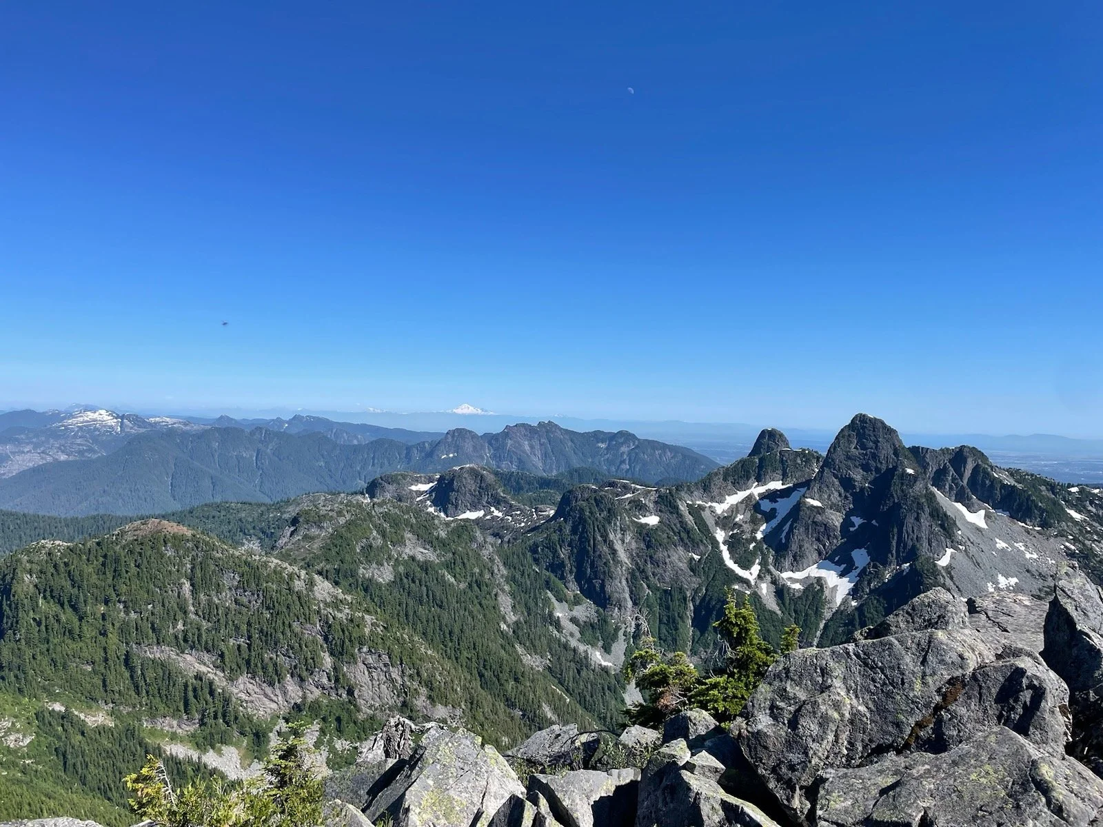 1971: The Beginning of a New Way to Invest, Based on Science