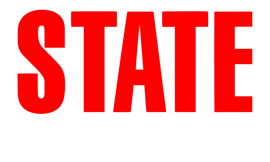 STATE CONTRACTING PORTAL visual data 4