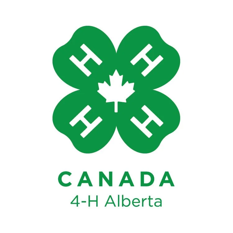 4H Fun Show