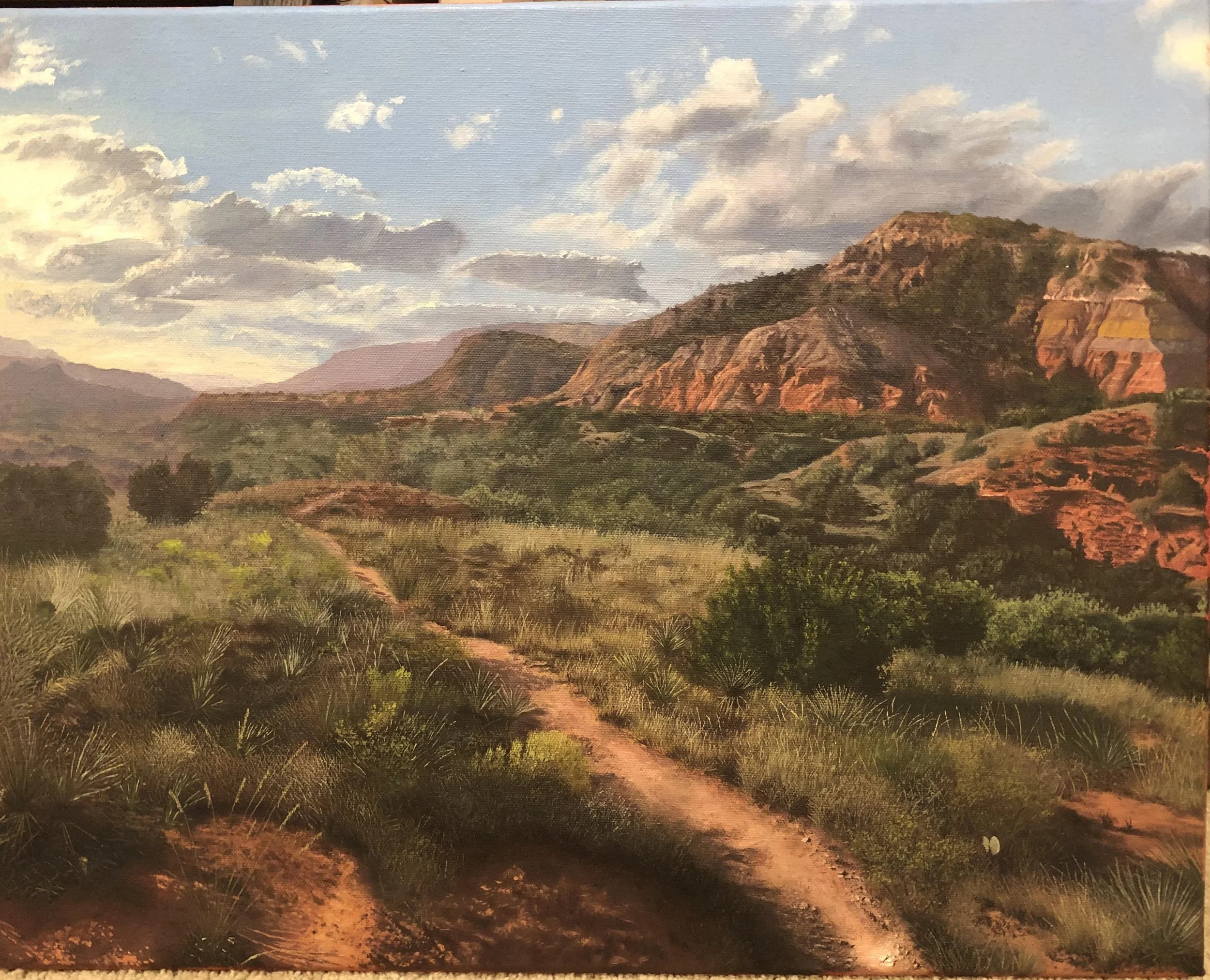 Vista of the Panhandle (44)