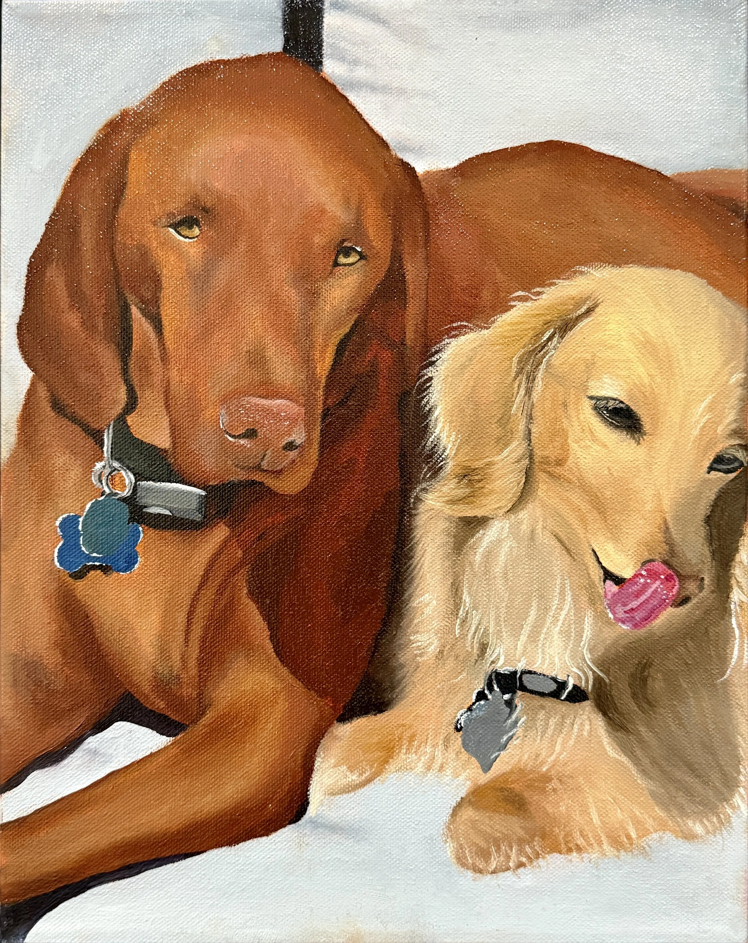 Gunner and Biscuit (26)