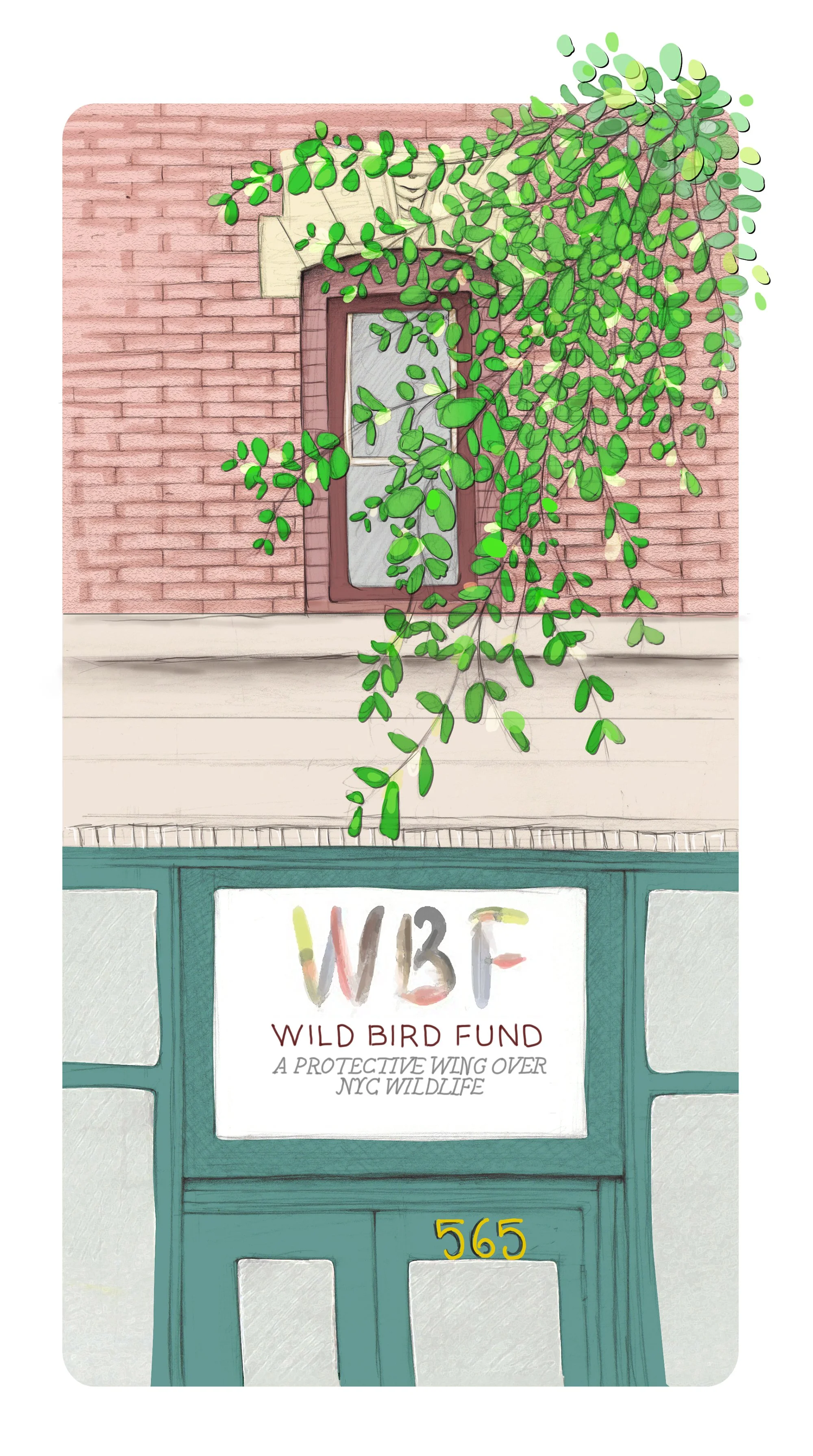 wild-bird-fund.jpg